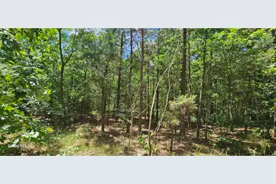 Tbd Cr 2290, Mineola, TX 75773 - Photo 2