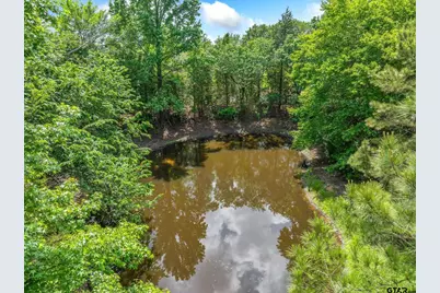 2489 Fm 2909, Canton, TX 75103 - Photo 44