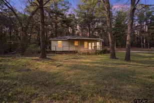 13546 FM 3271, Tyler, TX 75704 - Photo 20