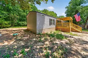 475 An County Rd 2236, Palestine, TX 75803 - Photo 34