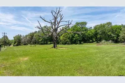 155 An County Road 463, Montalba, TX 75853 - Photo 6