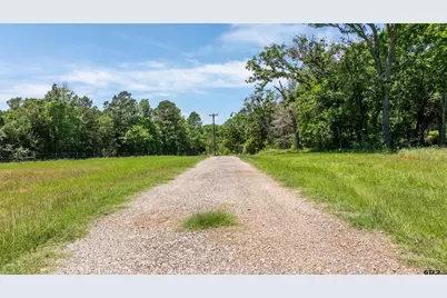 155 An County Road 463, Montalba, TX 75853 - Photo 4