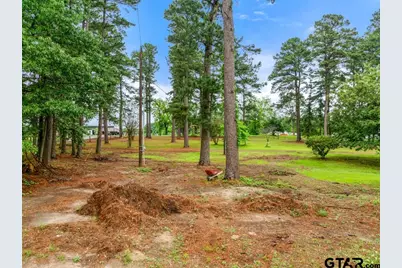 541 Cr 2745 (Tbd), Mineola, TX 75773 - Photo 6