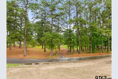541 Cr 2745 (Tbd), Mineola, TX 75773 - Photo 1