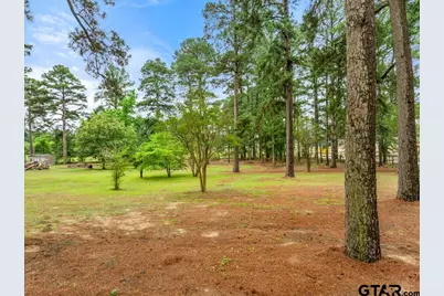 541 Cr 2745 (Tbd), Mineola, TX 75773 - Photo 4
