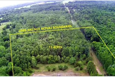 Tbd 15 Acres Locust Rd, Gilmer, TX 75645 - Photo 8