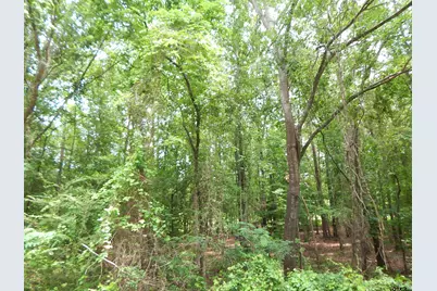 Tbd 15 Acres Locust Rd, Gilmer, TX 75645 - Photo 6