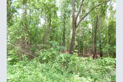 Tbd 15 Acres Locust Rd, Gilmer, TX 75645 - Photo 4