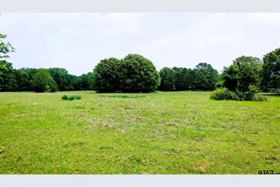 6100 Fm 314, Ben Wheeler, TX 75754 - Photo 26