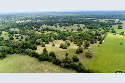 6100 Fm 314, Ben Wheeler, TX 75754 - Photo 14