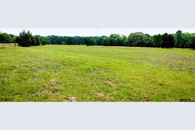 6100 Fm 314, Ben Wheeler, TX 75754 - Photo 30