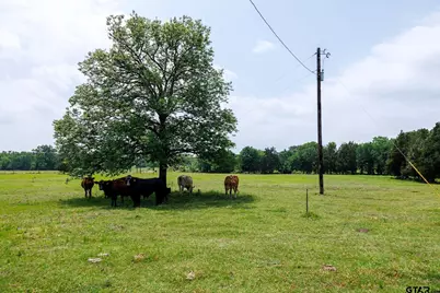 6100 Fm 314, Ben Wheeler, TX 75754 - Photo 2