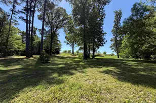 10196 Cr 3202, Chandler, TX 75758 - Photo 6