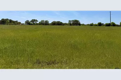 10162 Cr 3202, Chandler, TX 75758 - Photo 8