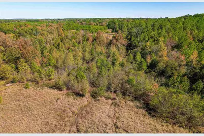 21.34 Ac W Fm 1910, Jacksonville, TX 75766 - Photo 12