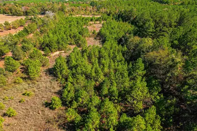 21.34 Ac W Fm 1910, Jacksonville, TX 75766 - Photo 8