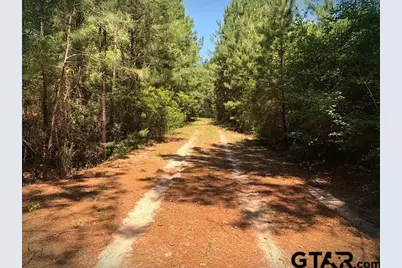 9490 S State Highway 19, Lovelady, TX 75851 - Photo 2