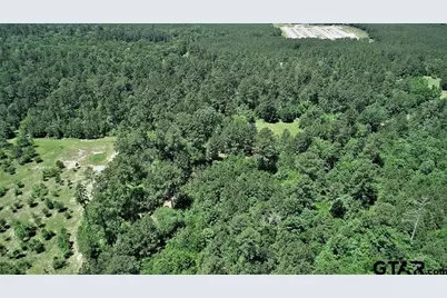 9490 S State Highway 19, Lovelady, TX 75851 - Photo 4
