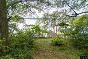 Tbd County Road 4838, Winnsboro, TX 75494 - Photo 22