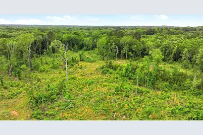 4249 Sh 42, Kilgore, TX 75662 - Photo 6