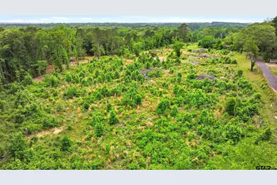 4249 Sh 42, Kilgore, TX 75662 - Photo 8