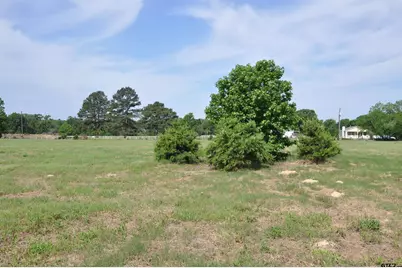 Tbd Vz County Road 4912, Van, TX 75790 - Photo 4