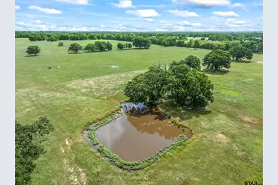 Tbd Fm-1395, Edgewood, TX 75117 - Photo 6