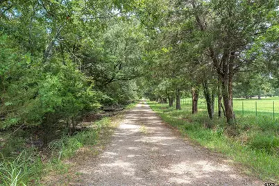 Tbd Fm 1197, Yantis, TX 75497 - Photo 2