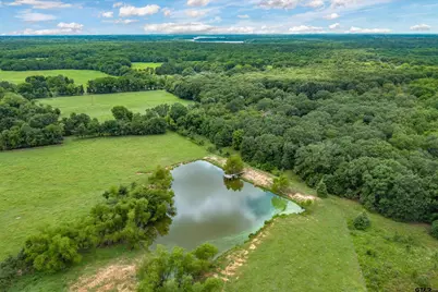 Tbd Fm 1197, Yantis, TX 75497 - Photo 4