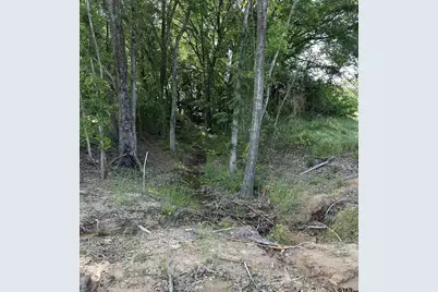 388 C R 3160, Emory, TX 75440 - Photo 8