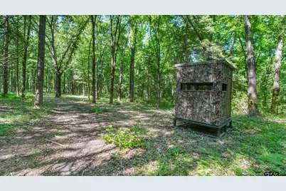 10448 Fm 858, Ben Wheeler, TX 75754 - Photo 36
