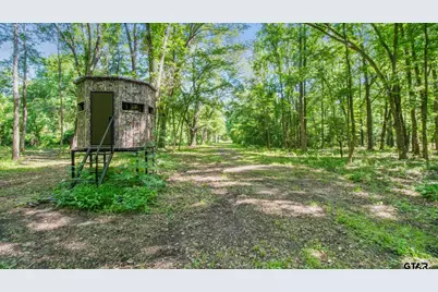 10448 Fm 858, Ben Wheeler, TX 75754 - Photo 34