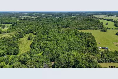 10448 Fm 858, Ben Wheeler, TX 75754 - Photo 44