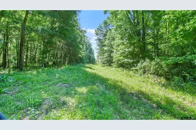 10448 Fm 858, Ben Wheeler, TX 75754 - Photo 42