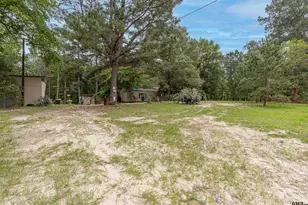 Tbd Cr 367, Winona, TX 75792 - Photo 1