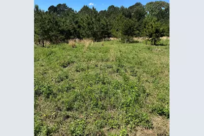 653 Fm 855 W, Jacksonville, TX 75766 - Photo 10