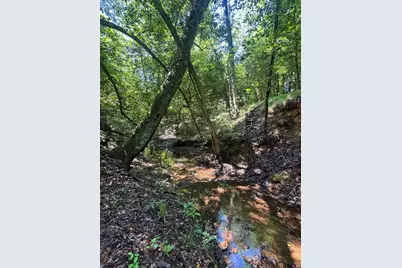 653 Fm 855 W, Jacksonville, TX 75766 - Photo 6