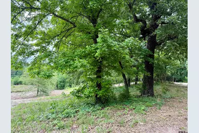 20453 Fm 1253, Lindale, TX 75771 - Photo 2