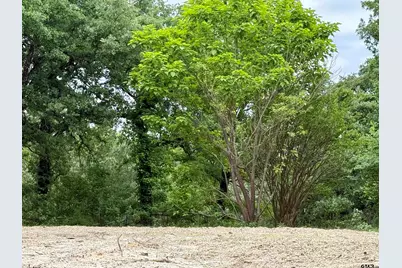 20453 Fm 1253, Lindale, TX 75771 - Photo 10