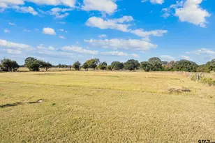 17215 Tarlton Rd, Mabank, TX 75147 - Photo 6