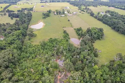 881 Vz County Road 4605, Ben Wheeler, TX 75754 - Photo 44