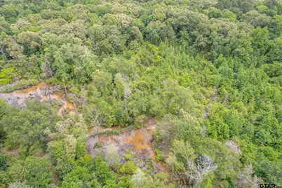 881 Vz County Road 4605, Ben Wheeler, TX 75754 - Photo 46