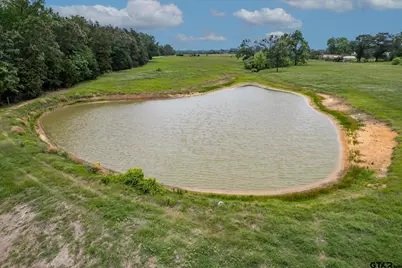 881 Vz County Road 4605, Ben Wheeler, TX 75754 - Photo 4