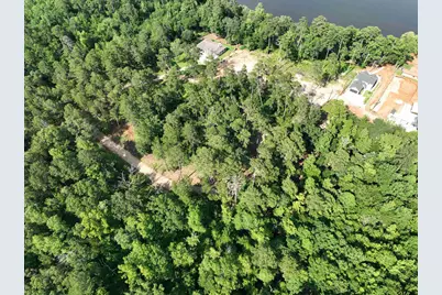 Tbd Pine Hills Road End, Gladewater, TX 75647 - Photo 6