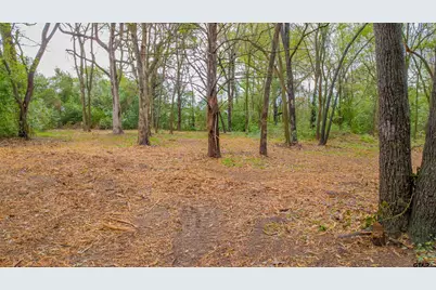 161 Fairway East, Hideaway, TX 75771 - Photo 4