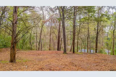 161 Fairway East, Hideaway, TX 75771 - Photo 8