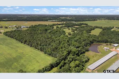 Tbd County Road 2395, Winnsboro, TX 75494 - Photo 8
