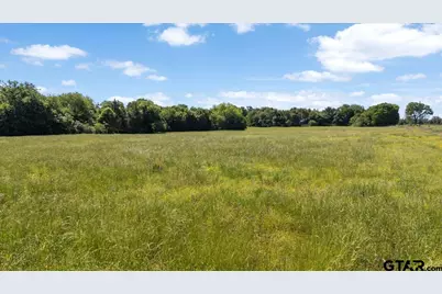 Tbd County Road 2395, Winnsboro, TX 75494 - Photo 16