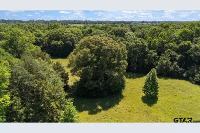 Tbd County Road 2395, Winnsboro, TX 75494 - Photo 10