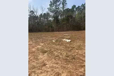 187 County Road 25, Tyler, TX 75705 - Photo 2